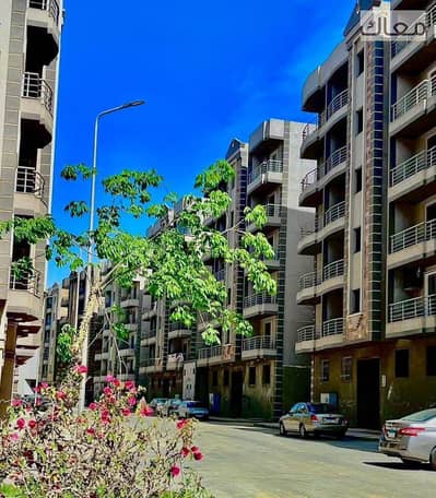 Immediate Delivery with a 20% Cash Discount in the Best Compound in Maadi