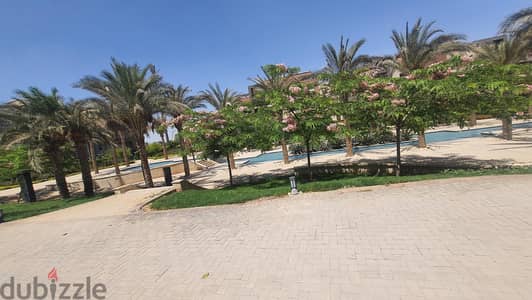 شقة غرفتين للإيجار في new giza