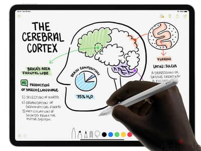 Apple pen 2nd generation - like new