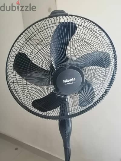Mienta Fan for sale
