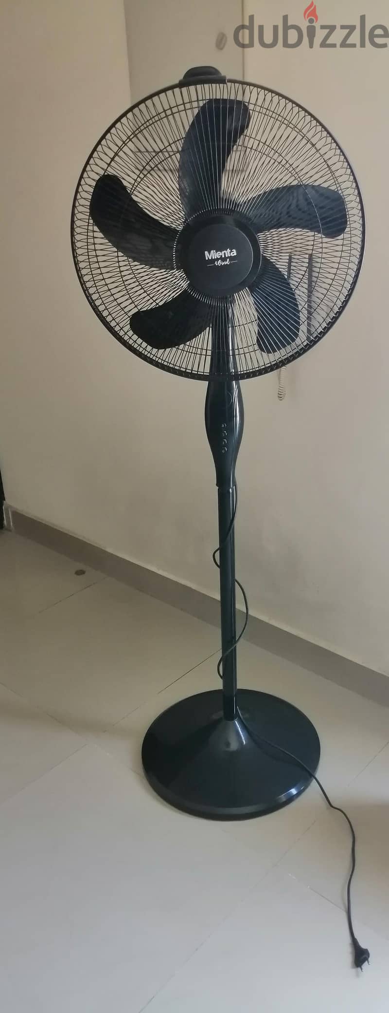 Mienta Fan for sale 1