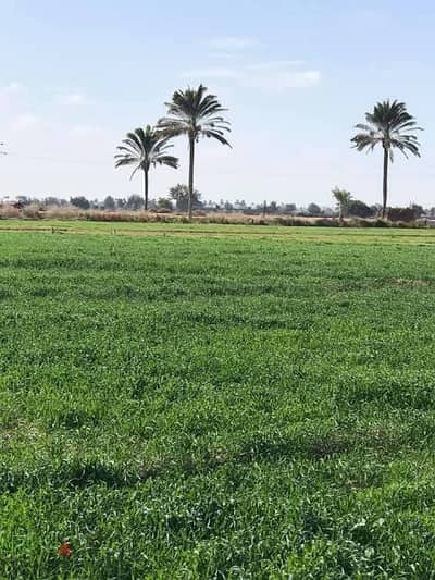 ارض زراعيه بزمام بركه السبع المنوفيه