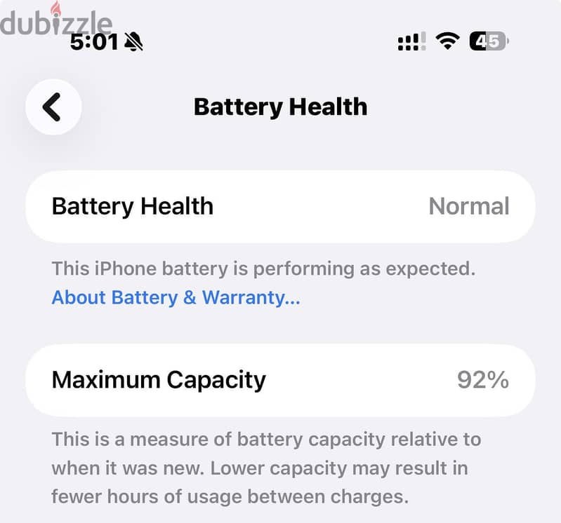 iPhone 16 Pro Max perfect condition 9