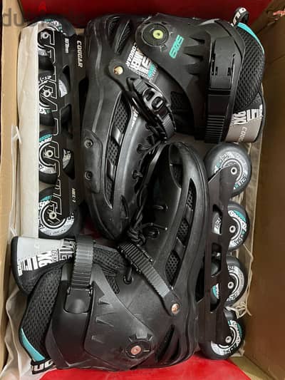 skate