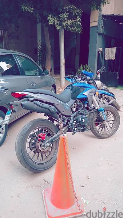 Vigory ktx 2025