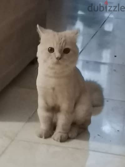 العبور