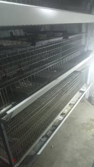 بطاريه تسمين سعه 120فرخ علاقات صاج مجلفن +خطوط نبل