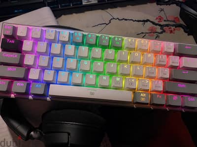 Red dragon k617fizz 60% mechanical red switchs