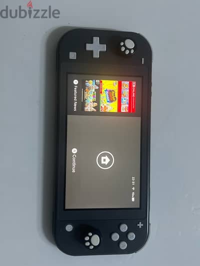 Nintendo switch lite