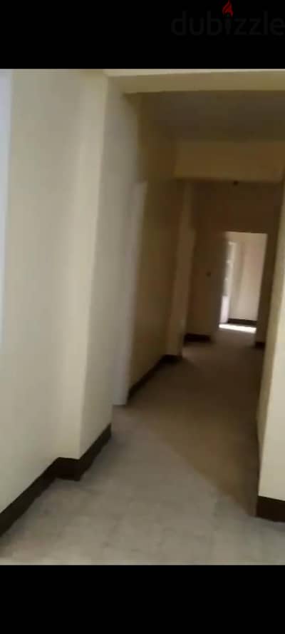 شقة لقطة