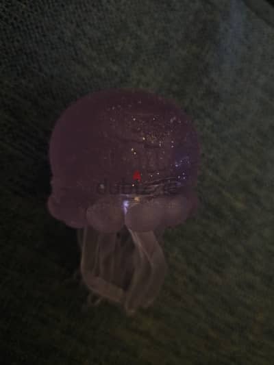 hard squish jellyfish needoo