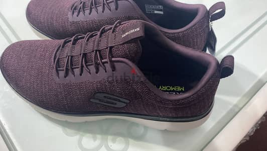 Sketcher
