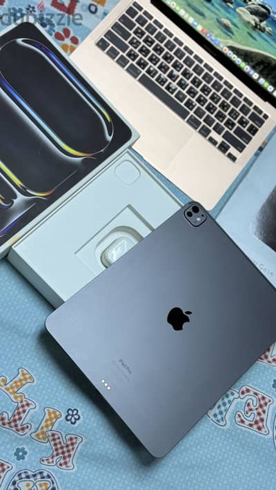 IPad Pro 13Inch M4Chip Battery  100% (30) Cycle
