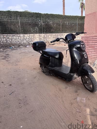 منتجع النخيل