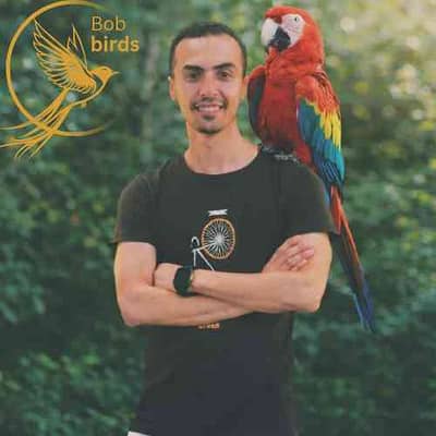 Bassem Sayed