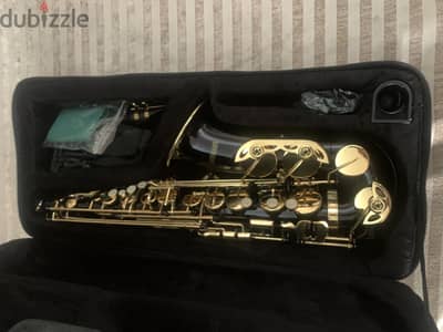 Ammoon Alto Saxophone (Black & Gold) – Complete Set in Mint Condition