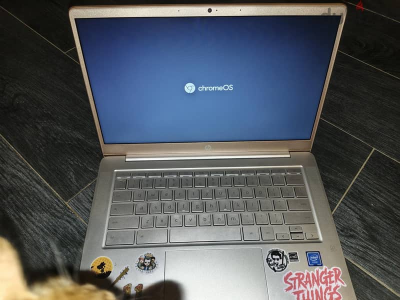ho Chromebook 14a 1