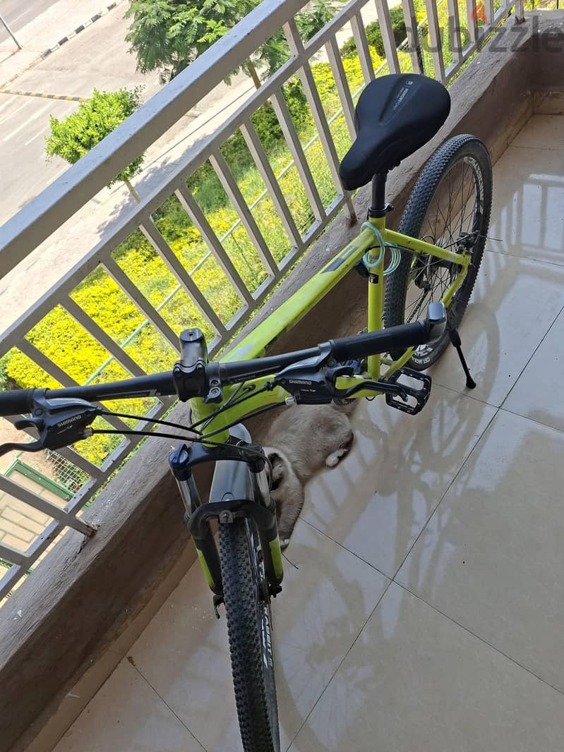Trinx m136 4