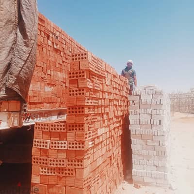 شركه النور لطوب الاحمر
