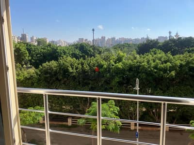 شقه للايجار المفروش سبورتنج