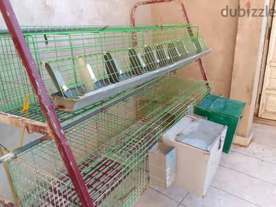 بطارية أرانب  بسعر مغري