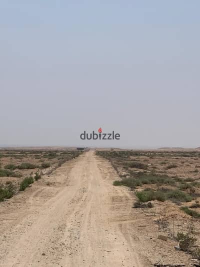 For sale: 30 acres - Afroland Association - Wadi El Natroun For sale: 30 acres - Afroland Association - Wadi El Natroun