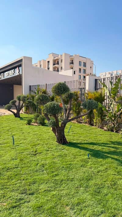 Bliss gate compound