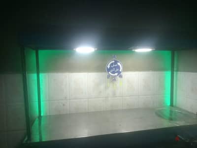 عربيه زلابيه