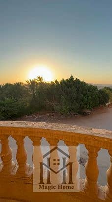 شقة ناصية بحري لقطة على شارع الجيش بحدائق الأهرام – 3 غرف نوم وريسبشن مستويين واسع بسعر مغري جدًا 