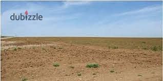7.5-Feddan Plot for Sale Directly on Lake Qarun