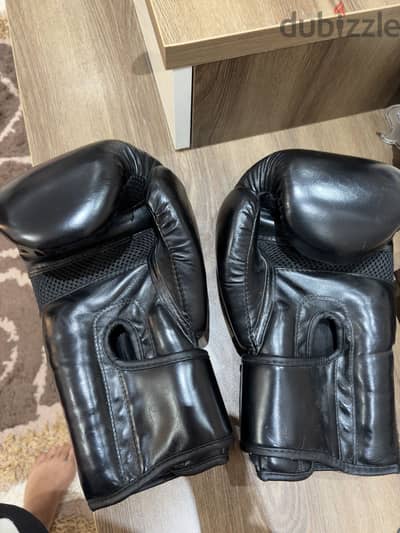 Boxing venom gloves