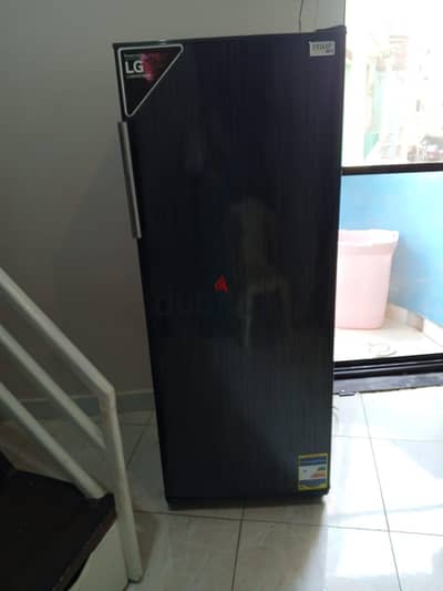 frezzer *PASSAP NVF 280L*