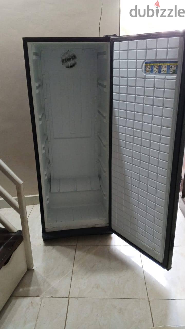 frezzer *PASSAP NVF 280L* 1