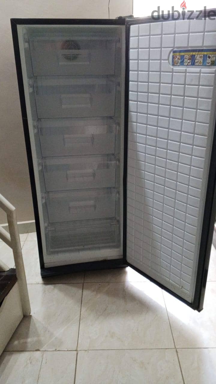 frezzer *PASSAP NVF 280L* 2