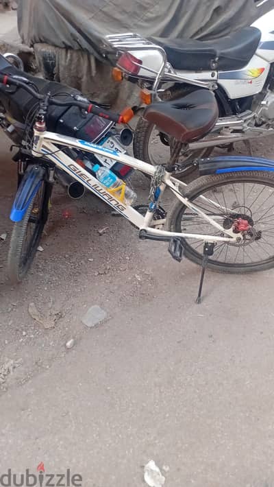 أحمد علاء
