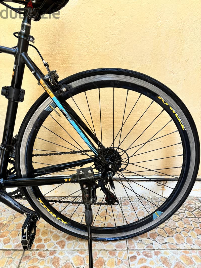 Trinx 1.5 2
