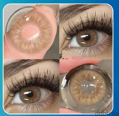 lenses
