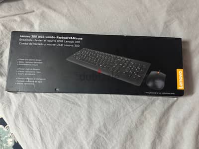 Lenovo 300 USB Wired Combo Arabic 253 / GX30M39607