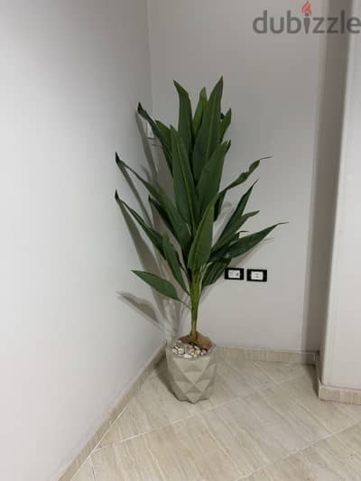 Artificial Banana Tree 160cm with Beige Fiber Pot