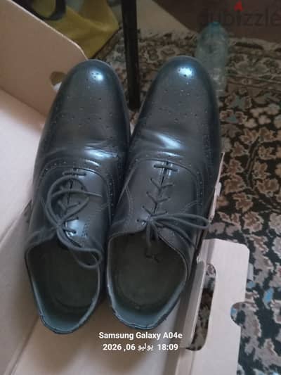 Safety Redwing سفتي ريدوينج