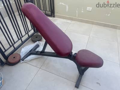 GYM Weight lifting bench بنش أوزان حر چيم