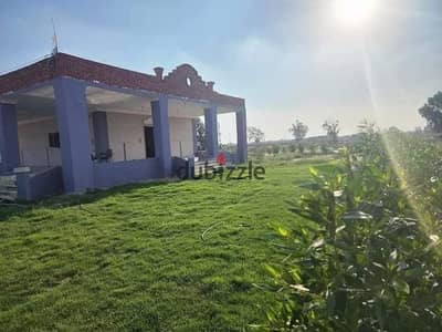 قطعه ارض زراعيه 15 فدان بسعر 65 الف جنيه للفدان