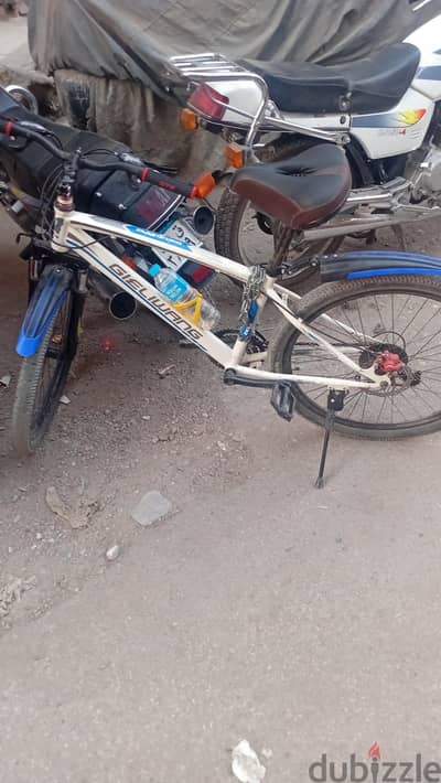 أحمد علاء