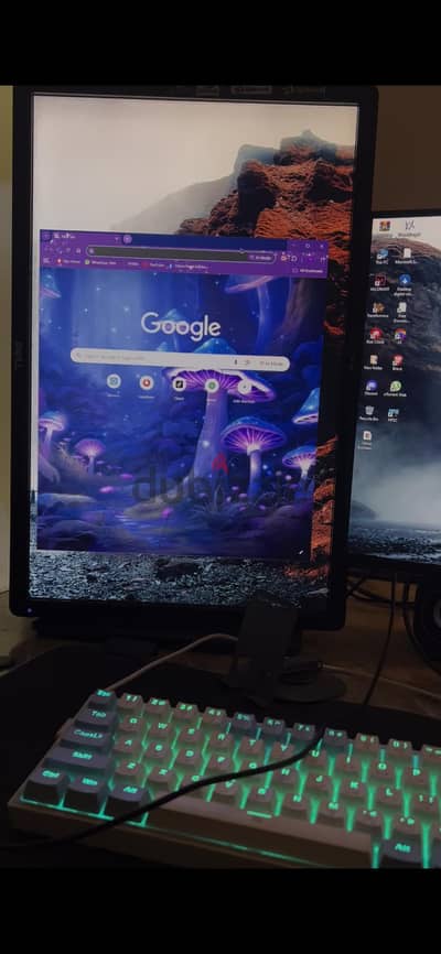 Dell monitor 60hz