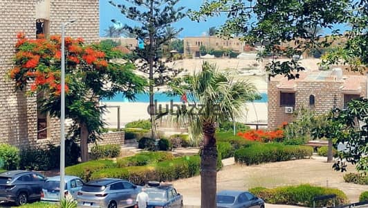 Apartment for rent in Marina 2 directly from the owner