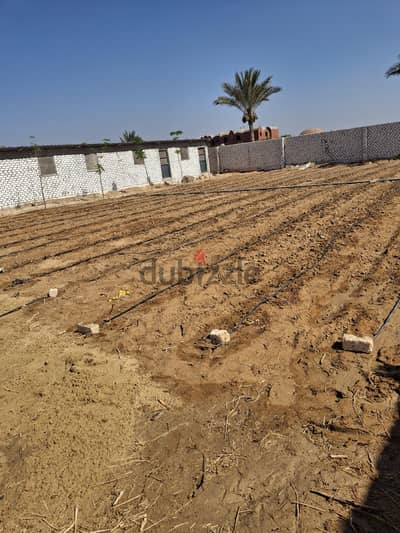 مزرعة للبيع فى الاسماعلية طريق مصر الاسماعلية الصحراوى