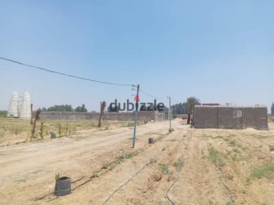 مزرعة 21 فدان مسجلة للبيع فى وادى النطرون
