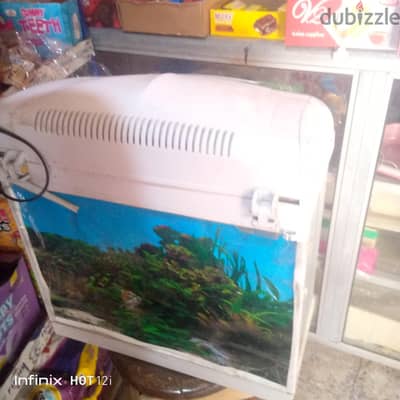 حوض سمك