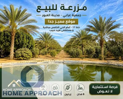 8 Feddans Farm for Sale in Ahmed Orabi Association, Obour City | Prime Location | Line 11 | Planted with Fig, Olive & Date Palm Trees