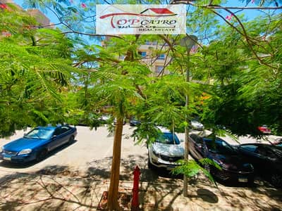 For rent, a new law apartment in my city B11